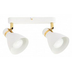 Спот arte lamp fafnir a5047pl-2wh